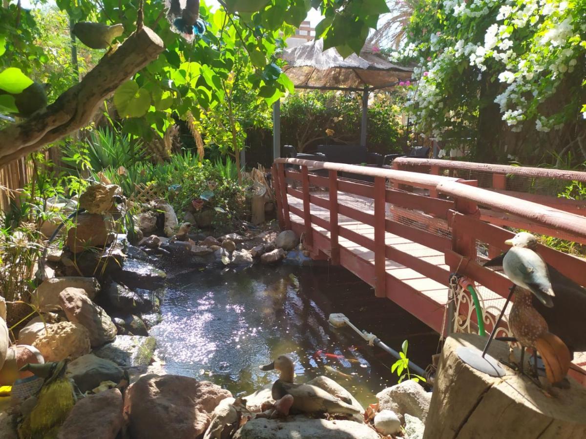 Lotus Turtle Garden Eilat Apartment ภายนอก รูปภาพ