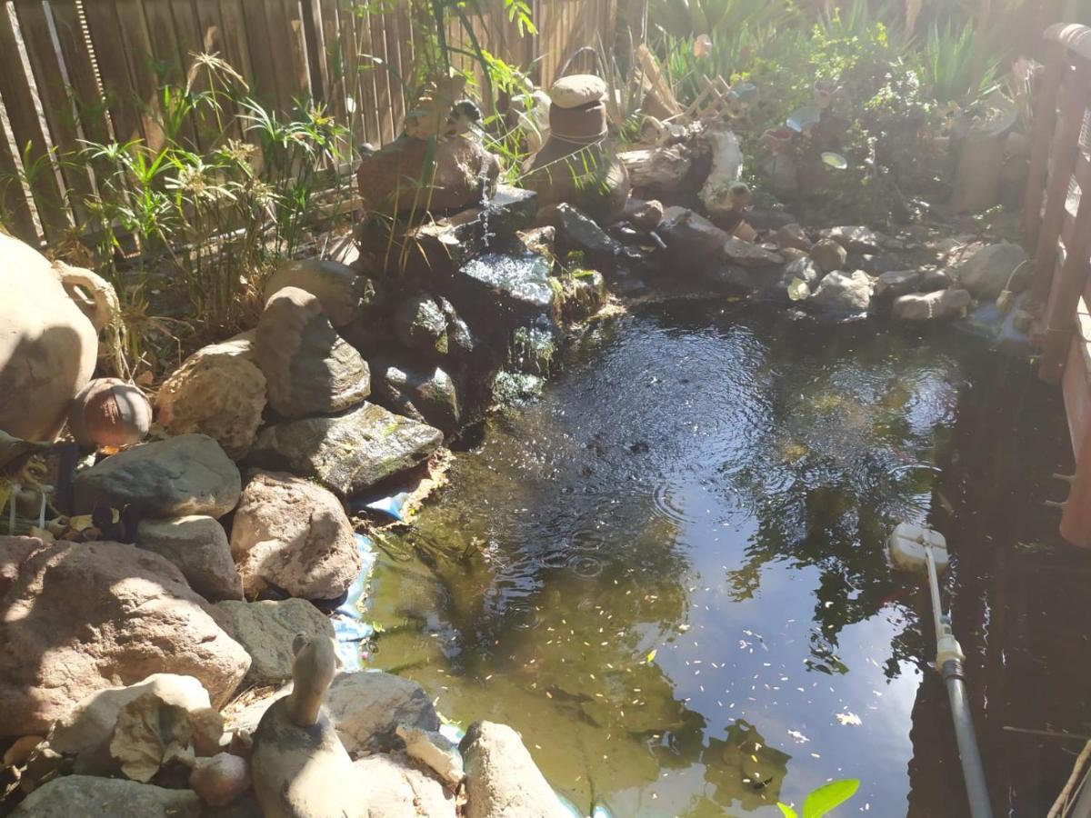Lotus Turtle Garden Eilat Apartment ภายนอก รูปภาพ